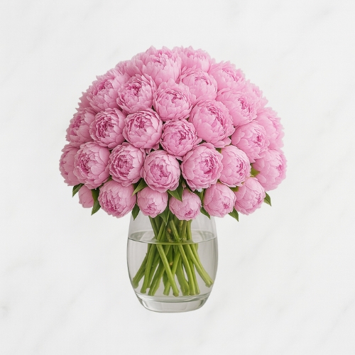 Blush Symphony